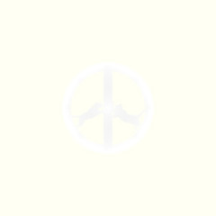 Hype Williams, "Businessline"