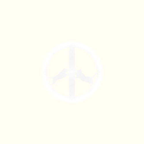 Hype Williams, "Businessline"