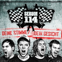 Serum 114 - Gutes Neues Jahr - 2011 - Downloadsingle