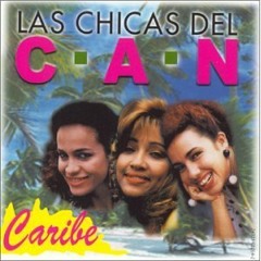 LAS CHICAS DEL CAN MIX DJ BORI