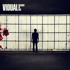 Vidual - Addiction (dabp Remix) [DOOH! Records]