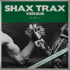 The Mastertrons "Brucie" (SHAX Remix) [SHAX TRAX]