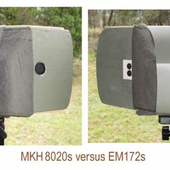 MKH 8020s v EM172s