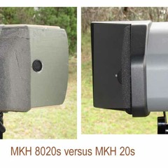 MKH 8020s v MKH 20s