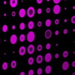 Deflect Color 28-10-2011 Pink
