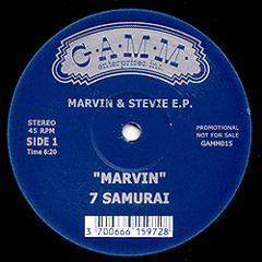 MARVIN GAYE I want you (7 Samurai remix)