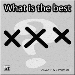 What is the best XXX    ZIGGY P.. & CJ WiMMER      Electro - Robotnic