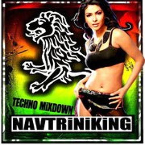 NAVTRINIKING REMIX - BACHANNAL (BEATMIX 2012)