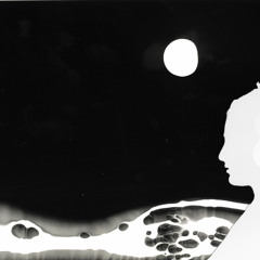 The Prologue (live, feat. Manu Delago)