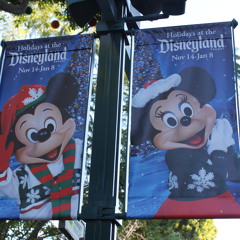 Disneyland - A Christmas Fantasy