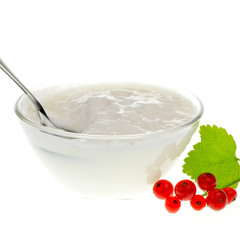 Evan Staley - Yogert