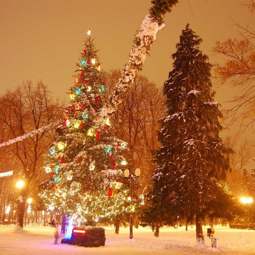 Colinde de Crăciun-Christmas Carols