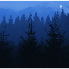 Bei Nacht…!
