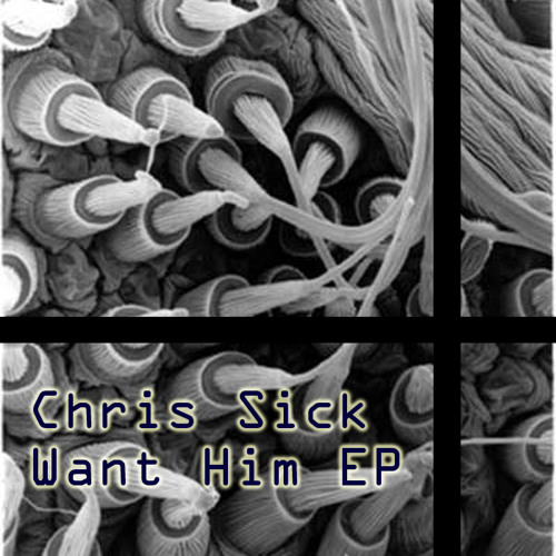 Chris Sick - Want Him