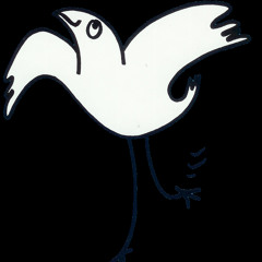 Soul Bird