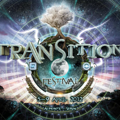 Transition Festival 2012