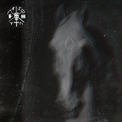 The Case / The Casket