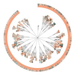 On The Aurigin of Species