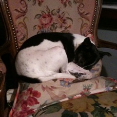 DRUNKEN ANIMALS-White Christmas