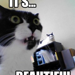 Too Many Dicks on the DanceFloor (ClusterPhuck BootLeg)