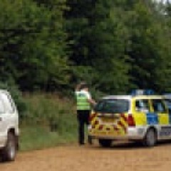 Lodan (Dan Cultivator & Lorry Diversion) - Thetford Acid Forest