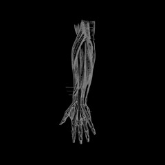 Borealis - Not Of This Reality (Henry Saiz 'Psicofonic Invocation' Mix)
