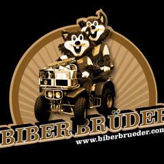 Dizzee Rascal - Pussyole (Dizzee Rascal Vs Electrixx)(Beaver Bros. Mashup)