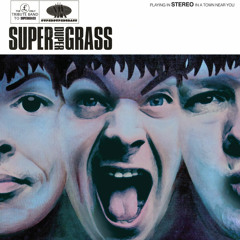 Superdupergrass - Mansize Rooster