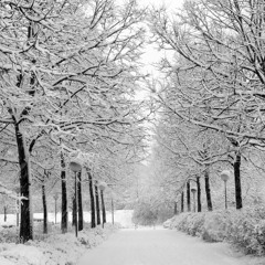 The Christmas Song (Nat King Cole Cover)