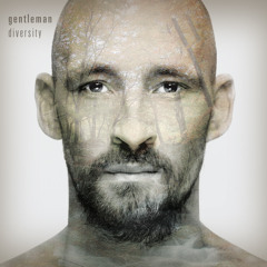 Gentleman - See Dem Coming (Acoustic Cover)