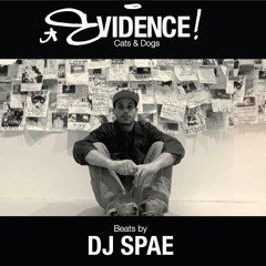 Stranger-Evidence_Produced By DJ Spae
