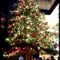 One minute silent night