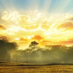 Sundancer - Everyday