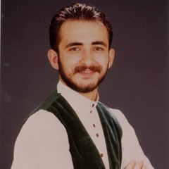 Hasret Gültekin - Sevgi Kuşun Kanadında
