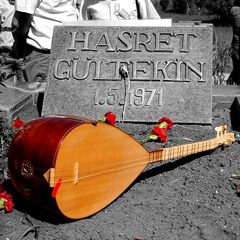 Hasret Gültekin - Telli Turnam