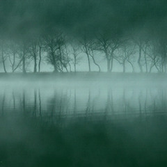 The Misty Place