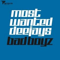 Most Wanted DeeJays - Bad Boyz (HIP HOP BOOTLEG - prod. by DJ GOLLUM & FRANK RAVEN)