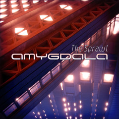 01 - Amygdala - Cognitive Distortion