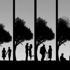 Meaning of life (draft)