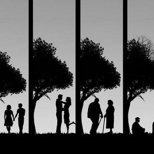 Meaning of life (draft)