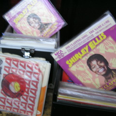 Mr. Potter's Saturday Party Starters