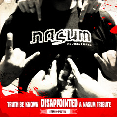Truth Be Known - Disappointed (Nasum Cover)