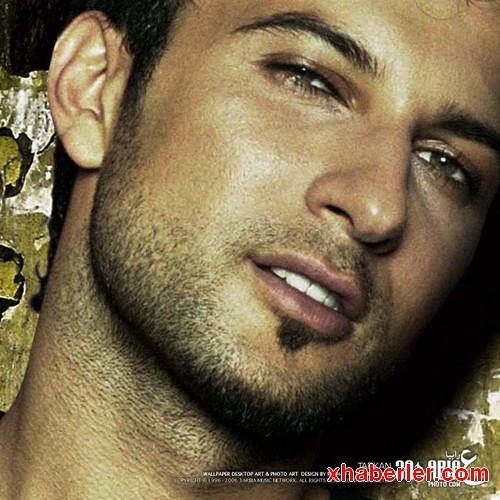 Фото таркана: найдено 82 картинок