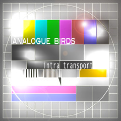 Analogue Birds - Puzzled