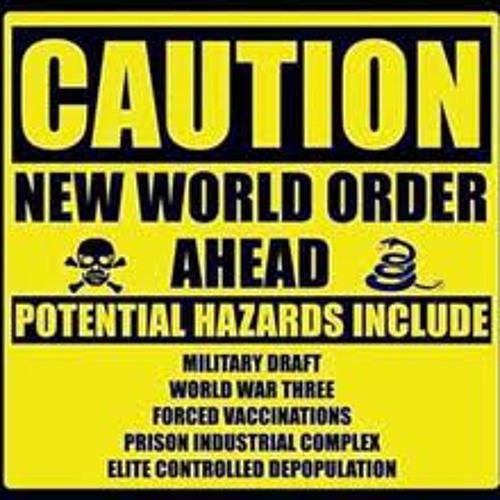 New World Order-Delicacy-(Blume Choon RuFNeK RmX)