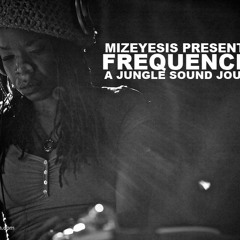 Frequencies: A Jungle Sound Journey by Mizeyesis (Dec 2011)