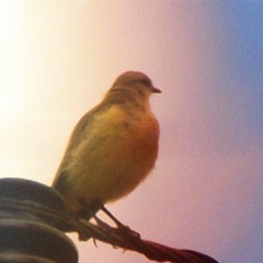 Minha Guerra Não é Contra Você