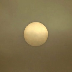 Winter Sun    (wk52/52)