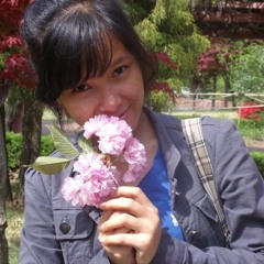 ណាវី (ស៊ិន ស៊ីសាមុត)