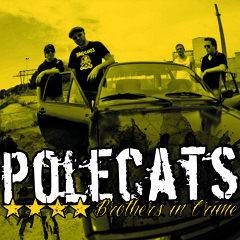 polecats